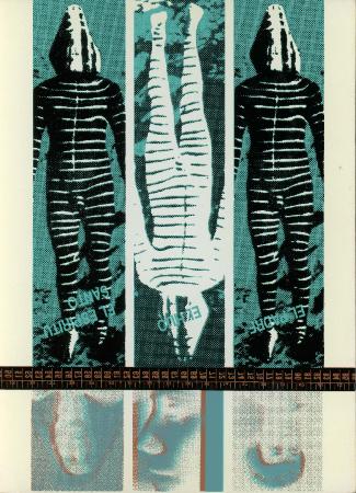 La Declinación de los Planos