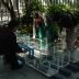 51ª Bienal Internacional de Venecia
