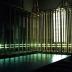 II Bienal Mercosur