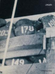 Lonquén Gonzalo Díaz