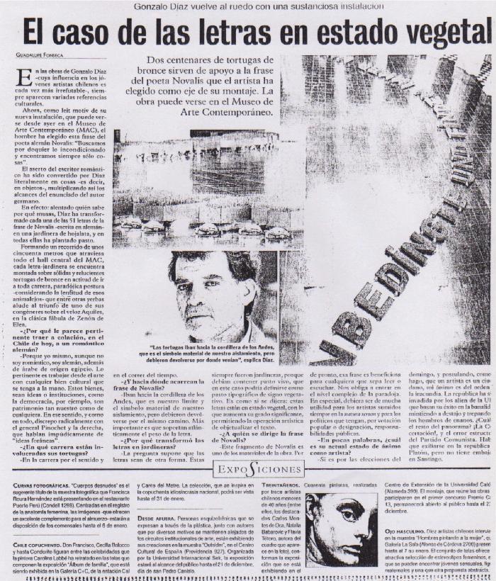 El caso de las letras en estado vegetal