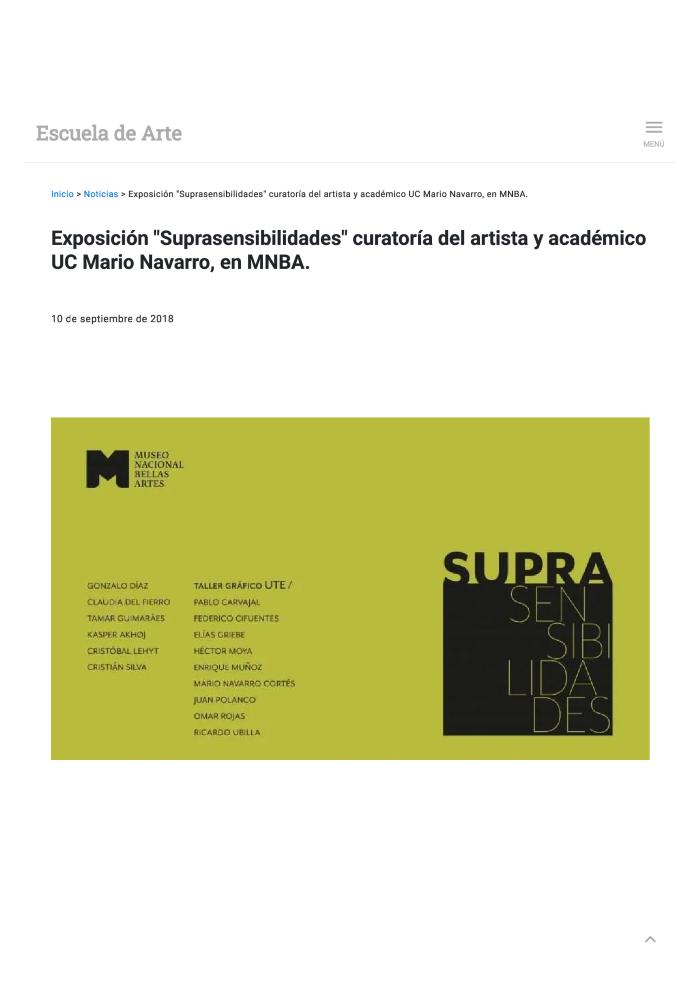 Exposición "Supreansibilidades" curatoría del artista y académico UC Mario Navarro, en MNBA.