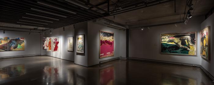Registro exposición Gonzalo Díaz, pintor. Vista general.