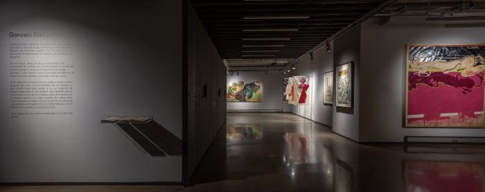 Registro exposición Gonzalo Díaz, pintor. Vista general.