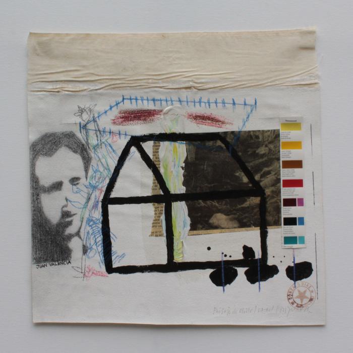 Paisaje de Chile, Juan Valencia