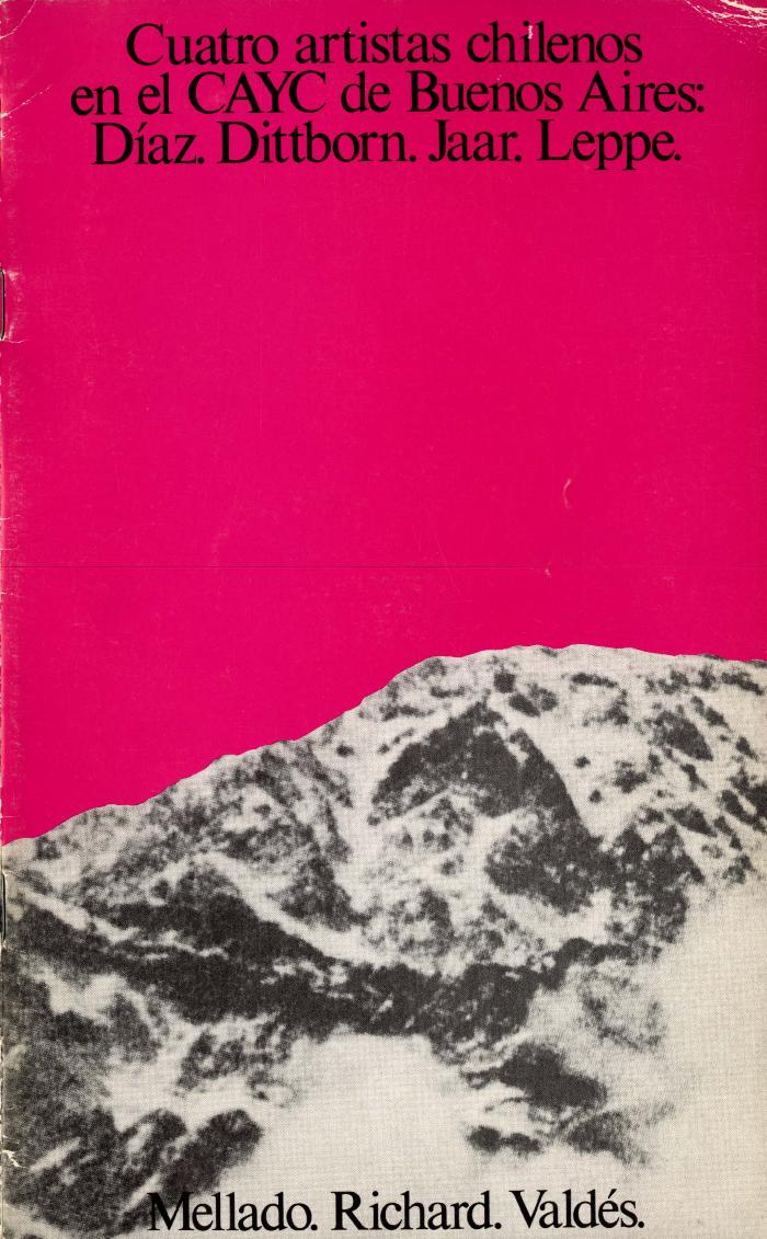Cuatro Artistas Chilenos en el CAYC de Buenos Aires: Díaz, Dittborn, Jaar, Leppe