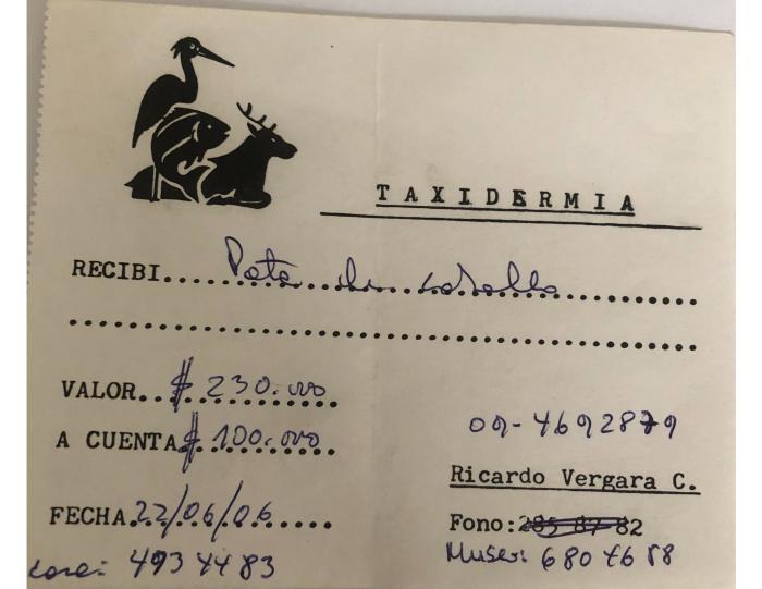 GD-D-00337_Recibo taxidermista_Del frente de Stalingrado
